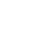 computer mouse